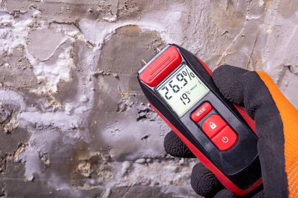Best Residential Mold Removal  in East Ithaca, NY