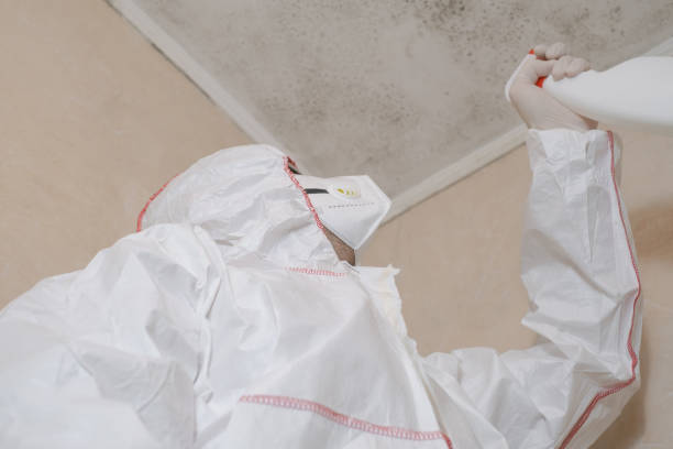 Best Emergency Mold Removal  in East Ithaca, NY